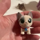Littlest Pet Shop Lps Dog Figure Gray White Puppy Green Eyes Red Collar Tag