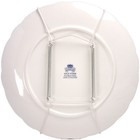 Wire Plate Hangers White  Black   Brass - Leeds Display Sizes 9-46cm  3 5 To 18 