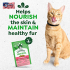 Greenies Cat Treats  Feline Smartbites  Skin   Fur Health  Crunchy And Soft Cat