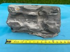 Texas Petrified Wood Large 15x9x8 Agatized Grey blk Log Aquascape Orchard Decor
