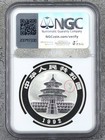 China 1992 10 Yuan 1 Ounce Oz Silver P Panda Ngc Proof Torch Countermark