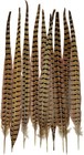 10pcs Natural Pheasant Tail Feathers For Floral Arrangements 16-18 Inch 