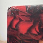 Doja Cat Signed    vie    Vinyl Insert Lp Album New Sealed Record