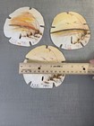 Vintg 1981 Sand Dollars Hand Painted Beach Sunset Set 3 Signed  4 25 t X 4 25 w 