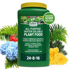 All-purpose Water Soluble Plant Food  24-8-16 5 Pounds