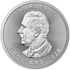2026 Canada Maple Leaf  Whatcha Lookin  Edition 1 Oz Silver Art Coin