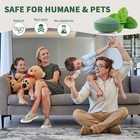 Mouse Rodent Repellent  24 Pack Peppermint Oil To Repel Mice And Rats    Works For