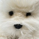 Russ Berrie Sammie Stuffed Animal Realistic Plush Dog Puppy White Soft Floppy10 