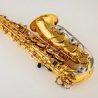 New 200 Professional Alto E Saxophone Gold Alto Sax With Mouthpiece And Case