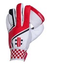 Gray Nicolls Indoor Keeping Gloves  2025 