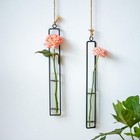 Hanging Clear Glass Propagation Tube Vase For Cuttings  Hydroponic Plant Prop   