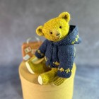 The Little Tourist Mohair Teddy Bear 23 Cm  9 06in   One Of A Kind Vintage Look
