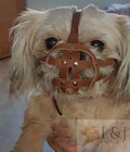 Leather Dog Muzzle For Shih Tzu And Other Flat Face Faced Short Snout Dog s