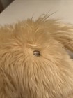 Fao Schwarz Nice Realistic Golden Retriever Dog 15  Plush Stuffed Animal Toy