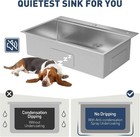 33x22x9 Inch Drop In Kitchen Sink Single Bowl Sink With Pull Down Spring Faucet