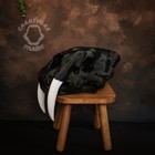 Lifesize Sabertooth Tiger Skull Smilodon Big Cat Museum Quality Display