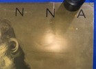 Vtg 1987 Madonna Who s That Girl World Tour Gold Poster Used Winterland 24x36in