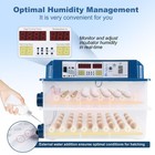 New 120 Eggs Incubator Temperature Control Automatic Digital Chicken Egg Hatcher