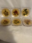 Vtg Lucite Acrylic Footed Coasters Flowers Set Of 6 Clear 3 5  - 1 Is Cracked