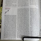The New Yorker Magazine June 1st Jalen Brunson New York Knicks Edition