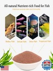 Brine Shrimp Eggs - Artemia Cysts  90  Hatch Rate For Tropical Fish  Goldfish