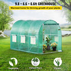 Vevor Walk-in Tunnel Greenhouse Galvanized Frame Waterproof 9 8x6 6x6 6 Ft