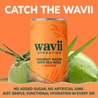 Wavii Coconut Water With Sea Moss Plus Mango  12 Pack  11 Fl Oz     Clean   