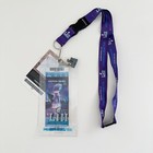 2018 Super Bowl 52 Lii Ticket   Extras Eagles Patriots Mystic Lake   s Club Purple