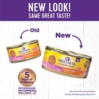 Wellness Complete Health Pate Kitten Wet Cat Food Natural Protein-rich Grain    
