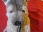 Adorable German Shepherd Puppy Dog Avanti Applause Plush Baby Animals Butterfly