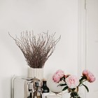 Uieke 200pcs Birch Twigs     17 Inch Natural Dried Plants Decorative Birch B