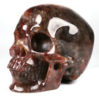 Huge 5 0  Hematoid Fire Quartz Carved Skull  Super Realistic  Crystal Healing