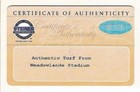 5  X 5  Game Used Ny Giants   Jets Green Playing Field Turf Meadowlands Stadium