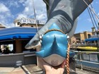 Universal Orlando Jaws 50th Anniversary Sipper Cup Shark   Tank Carrier  in Hand