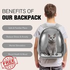 Cat Carrier Backpack Dog Puppy Small Medium Space Capsule Grey