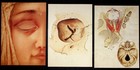 Antique Vintage Human Eye Anatomy Dissectible Paper Model Medical Science