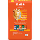 Proactive Health Chicken Dry Cat Food  22 Lb Bag