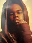 Lil Poppa Signed  almost Normal Again  Cd Insert 11x14 Framed - Acoa
