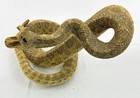 Rattlesnake Taxidermy Mount