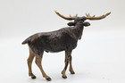 Striking Antique Austrian Vienna Cold Painted Bronze Figure Of Beautiful Moose