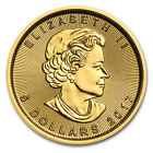 2017 Canada 1 10 Oz Gold Maple Leaf Bu