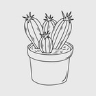 Sp Echinopsis Cactus Incense Powder