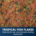 Tetra Tetramin Tropical Flakes Nutritionally Balanced Fish Food 7 06 Oz - New