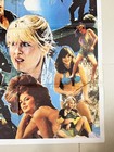 Eye Of The Tiger   Orig 86 Pakistani Poster   Gary Busey   Yaphet Kotto   Action