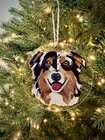 Custom Pet Portrait Christmas Ornament Hand Painted 4 Inch Acrylic