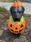 Black Lab Halloween Dog Blow Mold Ghost Led 2025 Home Depot 2 5 Ft New