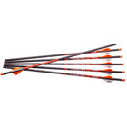 Ravin R138 400 Grains  003 Straightness Tolerance 20  Crossbow Arrows  6 Pack 