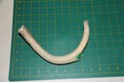 Large Straight Deer Antler Dog Chew  33   Bone Chews Deer Elk Treats Deer 201