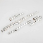 New Af301 Alto Flute G Tune 16 Closed Hole Keys Sliver Plated Flute With Case