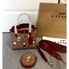 Coach Cbf74 X Peanuts  Willow Tote Bag 18 Signature Canvas Removable Zip Pouch A
